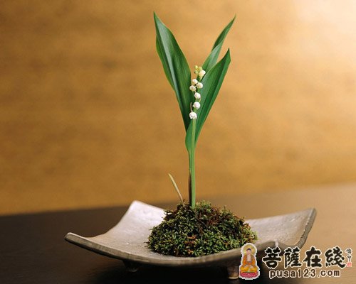 世间最珍贵的是什么 世间最珍贵的是什么