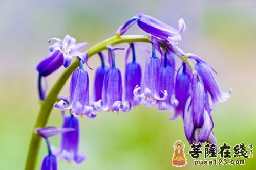 人生总有遗憾,何必苦苦求全 人生总有遗憾,何必苦苦求全