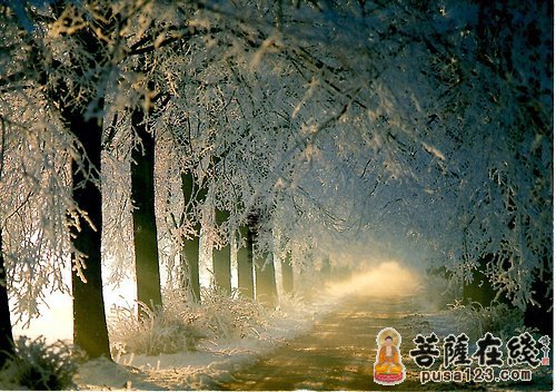 李明-能吃亏自然就少是非 李明-能吃亏自然就少是非