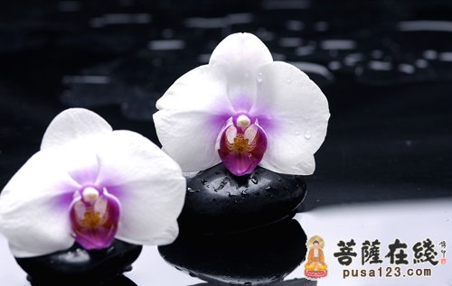 佛教-别人的错误为什么碍着我们 佛教-别人的错误为什么碍着我们