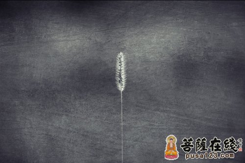 当你觉醒 你已重生 当你觉醒 你已重生