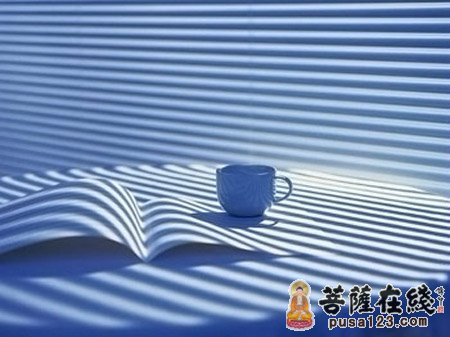 你懂一张纸的命运吗 你懂一张纸的命运吗