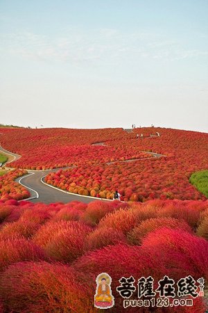 幸福是活着的理由 幸福是活着的理由