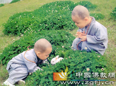放生功德-获得福报最快的方法(图文) 放生功德-获得福报最快的方法(图文)