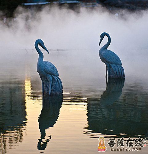 禅定-喜求禅定,成办二利 禅定-喜求禅定,成办二利