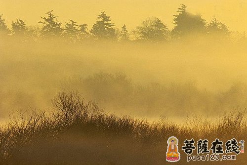 观音-观音菩萨“男身女相”的传说 观音-观音菩萨“男身女相”的传说