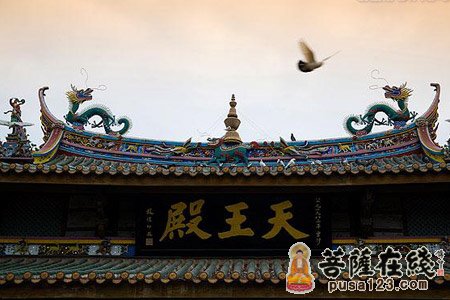 世间最珍贵的是什么 世间最珍贵的是什么