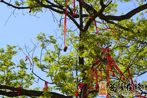 佛教-如何面对世间的福报 佛教-如何面对世间的福报