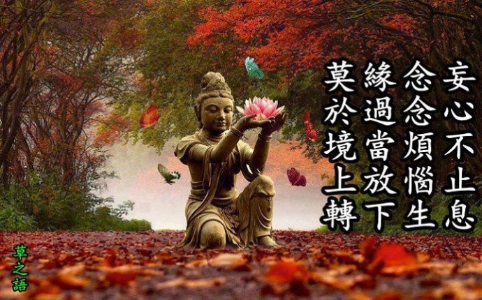 佛教-佛教与中国帝王 佛教-佛教与中国帝王