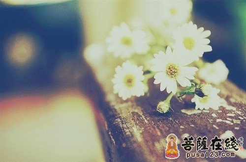 佛教-哑和尚的故事 佛教-哑和尚的故事