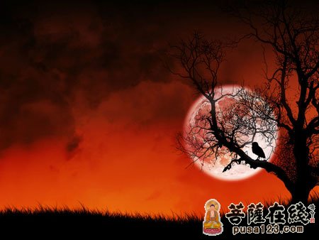 佛教-恶之报 如影随形 三世因果循环不失 佛教-恶之报 如影随形 三世因果循环不失