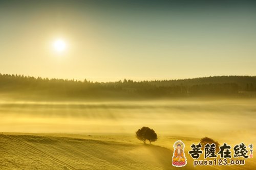 工匠-木匠和画家 工匠-木匠和画家
