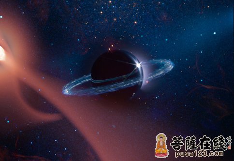 婚礼-把新娘输给了星星的人 婚礼-把新娘输给了星星的人