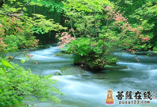 沉静的力量 沉静的力量