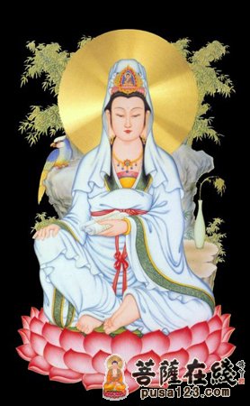 放鸟一命 心想事成 放鸟一命 心想事成