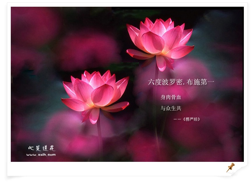 佛教-布施一条裤子的果报 佛教-布施一条裤子的果报