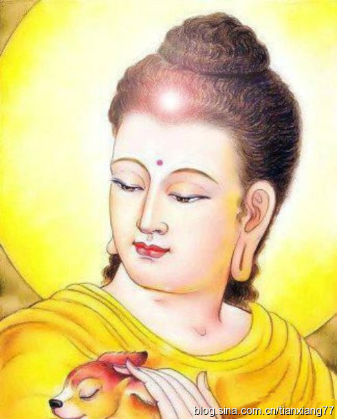 释迦牟尼-一个小动作,往往就可能影响人的一生 释迦牟尼-一个小动作,往往就可能影响人的一生