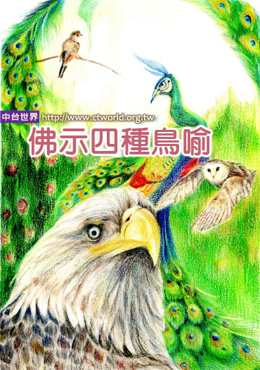 文化-佛示四种鸟喻:如何得形好音美 文化-佛示四种鸟喻:如何得形好音美
