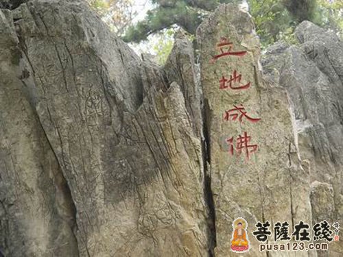 屠夫立地成佛 屠夫立地成佛