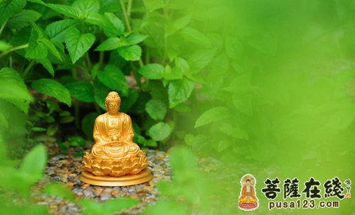 比丘尼-最初的比丘尼 比丘尼-最初的比丘尼