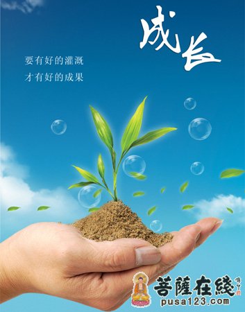 育儿-风中跌倒不怨风 育儿-风中跌倒不怨风