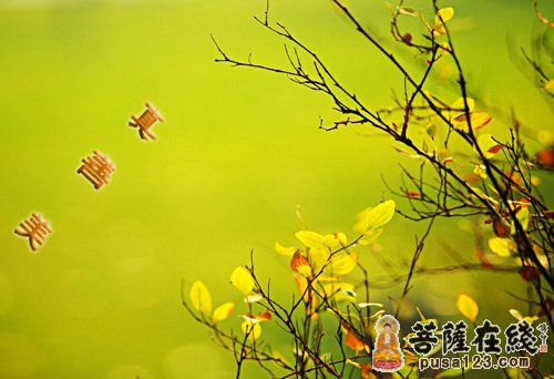 佛教-善恶一念间 佛教-善恶一念间