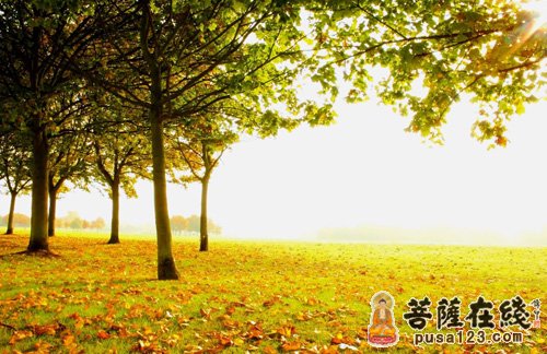 宽容是最好的修养 宽容是最好的修养