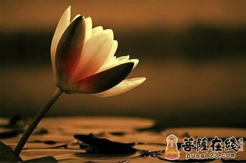 释迦牟尼-琉璃王与释迦族 释迦牟尼-琉璃王与释迦族
