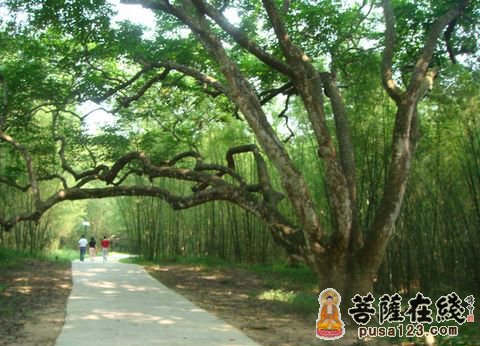 引导人走向正路 引导人走向正路