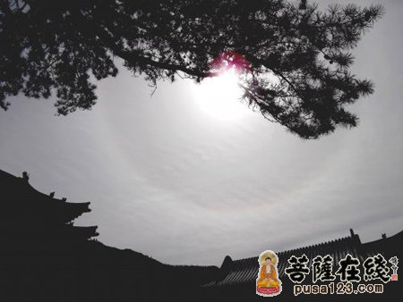 普庵禅师度化白牛 普庵禅师度化白牛
