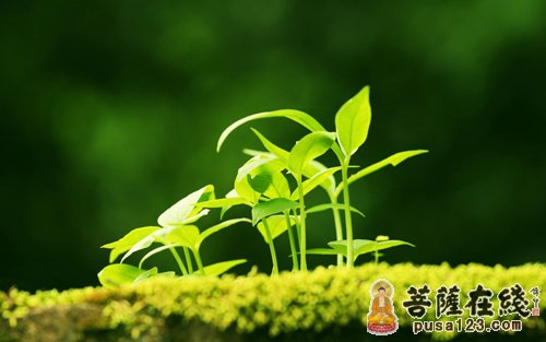 佛教-身为比丘 微小的戒律也要受持 佛教-身为比丘 微小的戒律也要受持