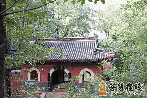 释迦牟尼-一句恶言就能招来苦报 释迦牟尼-一句恶言就能招来苦报