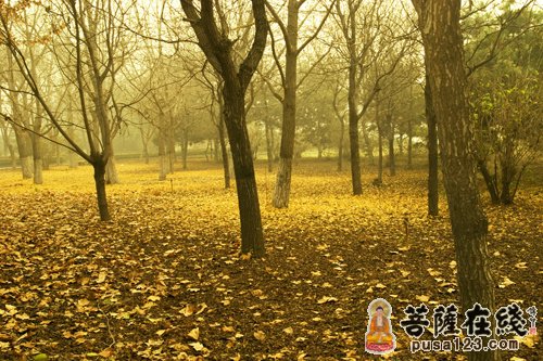 释迦牟尼-刁难佛陀的年轻人 释迦牟尼-刁难佛陀的年轻人