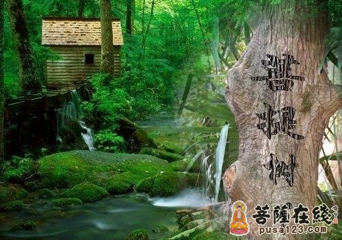 佛教-欲火中烧的国王 佛教-欲火中烧的国王