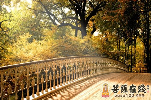 解释一起 解释一起