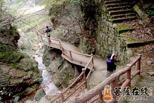 释迦牟尼-鹦鹉迎佛 释迦牟尼-鹦鹉迎佛