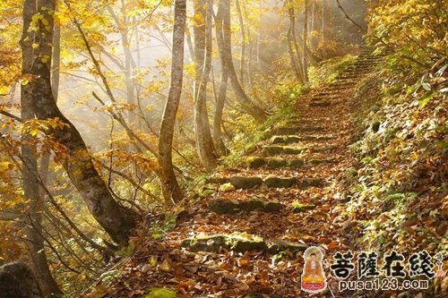 起死回生的咒语 起死回生的咒语