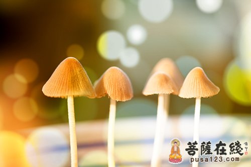 佛教-没有改不掉的脾气 佛教-没有改不掉的脾气