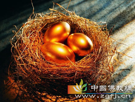 美丽的馈赠(图文) 美丽的馈赠(图文)