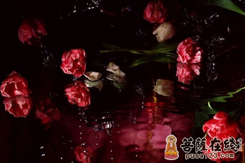 一生中最爱-一生中最爱的女人