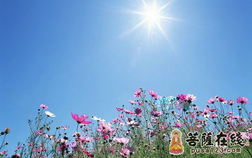 佛教-无人可以代劳 佛教-无人可以代劳