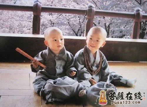 春困秋乏是猛虎 春困秋乏是猛虎