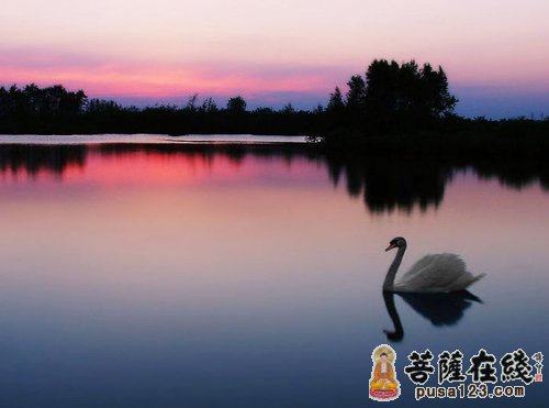 婚姻-一个冤缘相报的故事 婚姻-一个冤缘相报的故事