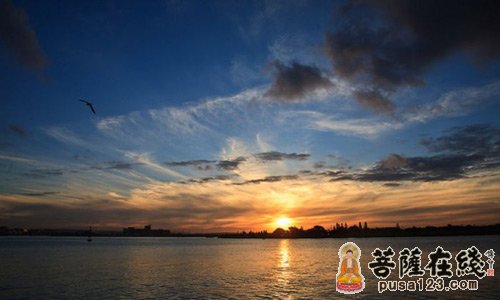 释迦牟尼-“口头禅”非禅