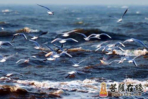 佛教-解说苦的成因 佛教-解说苦的成因