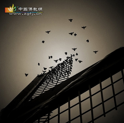 佛教-猛喝一顿,过个酒瘾再忏悔(图文) 佛教-猛喝一顿,过个酒瘾再忏悔(图文)