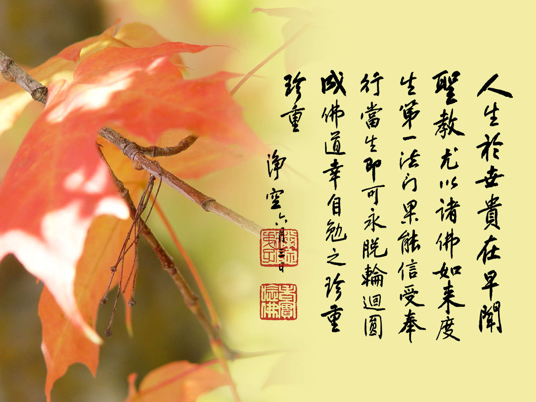 文化-贪和爱(图文) 文化-贪和爱(图文)