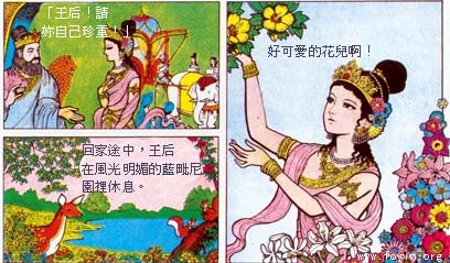 释迦牟尼-佛陀的一生--1 释迦牟尼-佛陀的一生--1