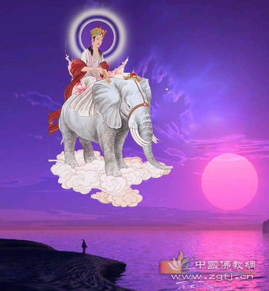 尼姑-向佛的青楼女子 尼姑-向佛的青楼女子