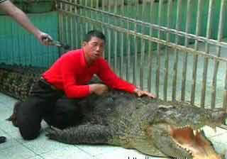 佛经-“爱听佛经的鳄鱼”与“吃素的猫” 佛经-“爱听佛经的鳄鱼”与“吃素的猫”